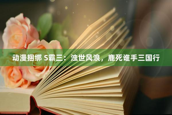 动漫捆绑 S霸三：浊世风浪，鹿死谁手三国行