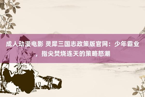成人动漫电影 灵犀三国志政策版官网：少年霸业，指尖焚烧连天的策略怒潮